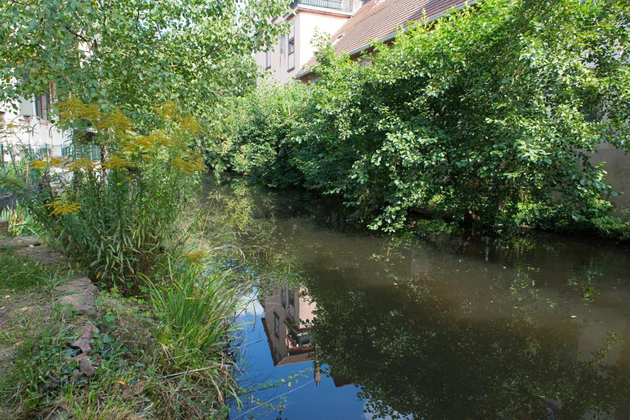 Ferienwohnung Meuble Le Coin Tranquille Saverne Exterior foto